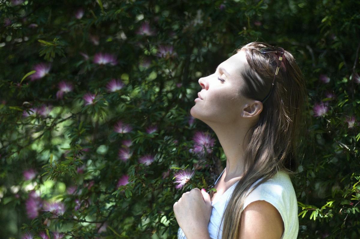 Come scegliere il purificatore d'aria piÃ¹ adatto alla nostra casa