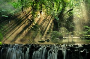 Esplorando le Meraviglie Naturali dell'Area di Iseo Dalle Acque Sorgive alle Cascate